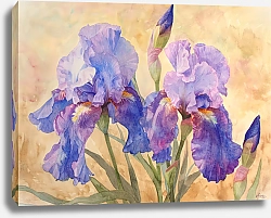 Постер Grace of watercolor irises