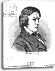 Постер Школа: Немецкая школа (19 в.) Robert Schumann