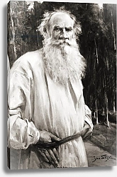 Постер Школа: Русская 19в. Count Leo Tolstoy, after a painting by Jan Styka