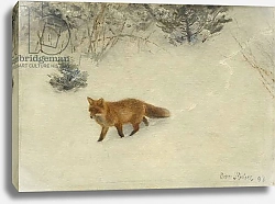 Постер Лильефорс Бруно The Fox, 1893