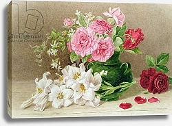 Постер Даффилд Мари Roses and Lilies