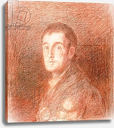 Постер Гойя Франсиско (Francisco de Goya) Study for an equestrian portrait of the Duke of Wellington c.1812
