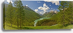 Постер Россия, Алтай. Панорама с озером и лесом