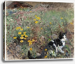 Постер Лильефорс Бруно Cat on a flowery meadow, 1887
