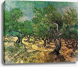 Постер Ван Гог Винсент (Vincent Van Gogh) Оливковая роща 2