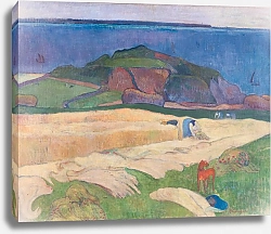 Постер Гоген Поль (Paul Gauguin) Урожай - Le Pouldu