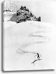 Постер Ski Trail Down A Mountain