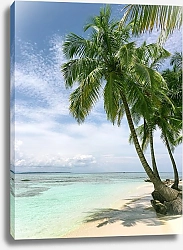 Постер Белый пляж с пальмами
