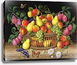 Постер Клейзер Амелия (совр) Apples, pears. grapes and plums, 1999