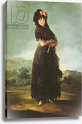 Постер Гойя Франсиско (Francisco de Goya) Mariana Waldstein, c.1797-1800