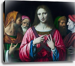 Постер Луини Бернардино Христос среди лекарей