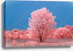 Постер Розовая прерия с большим деревом