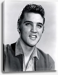Постер Presley, Elvis 8