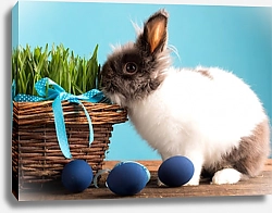 Постер Кролик с синими яйцами и корзинкой травы