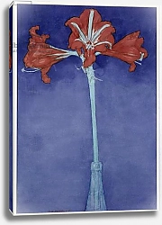 Постер Мондриан Пит Amaryllis Painting by Piet Mondrian New York, Museum of Modern Art