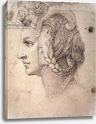 Постер Микеланджело (Michelangelo Buonarroti) Study of Head