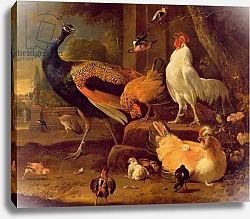Постер Хондекутер Мелхиор Poultry, c.1670
