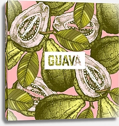 Постер Плоды гуавы