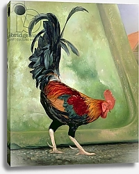 Постер Истон Тимоти (совр) Popinjay, detail showing cockerel, 1987