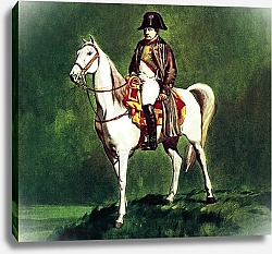 Постер МакКоннел Джеймс Napoleon on his favourite charger, 'Marengo'