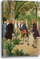 Постер Планелла Коромина Хосе Carl Linnaeus