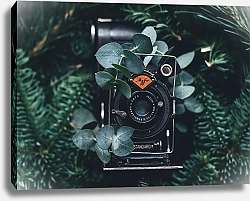 Постер Старинная фотокамера в зеленых листьях