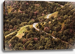 Постер Петляющая дорога в осеннем лесу