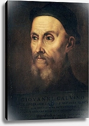 Постер Тициан (Tiziano Vecellio) Portrait of John Calvin