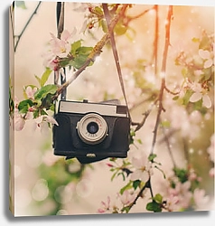 Постер Ретро камера на яблоне в солнечный весенний день