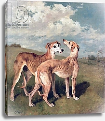 Постер Эммс Джон Greyhounds