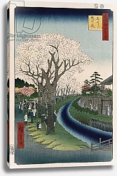Постер Утагава Хирошиге (яп) 'Cherry Blossoms, Tama River Embankment'