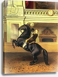 Постер Школа: Австрийская 19в. Crown Prince Rudolph of Austria on horseback, Vienna, 1870