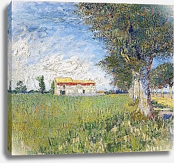 Постер Ван Гог Винсент (Vincent Van Gogh) Ферма на пшеничном поле, 1888 г.