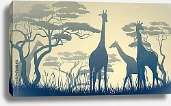 Постер Дикие жирафы в африканской саванне