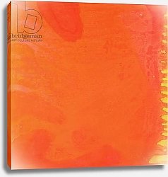 Постер Джонстон Шарлотт (совр) Rabbit Orange, 1997