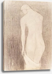 Постер Редон Одилон Nude Woman Seen from Behind