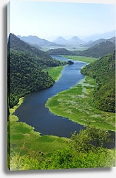 Постер Черногория. Скадарское озеро 6