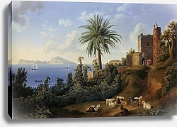 Постер Хаккерт Якоб (Jakob Philipp Hackert) Blick vom Posillipo auf die Insel Capri