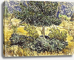 Постер Ван Гог Винсент (Vincent Van Gogh) Деревья и кустарники в саду убежища, 1889