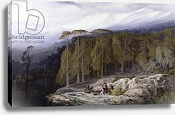 Постер Лир Эдвард The Forest of Valdoniello, Corsica, 1869