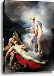Постер Школа: Французская Venus heals Adonis