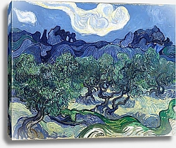 Постер Ван Гог Винсент (Vincent Van Gogh) Оливковые деревья, Ярко-голубое небо, 1889 г.