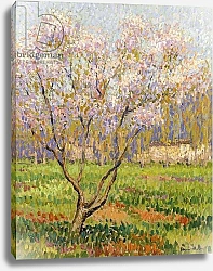 Постер Мартин Генри Apple Tree in Blossom; Pommiers en Fleurs,