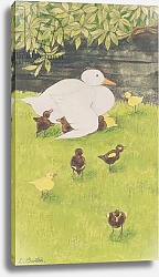 Постер Бентон Линда (совр) Mother Duck with Ducklings