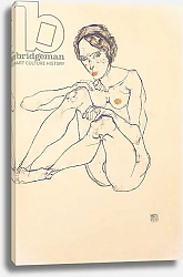Постер Шиле Эгон (Egon Schiele) Seated female nude, 1914