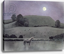 Постер Брэйн Энн (совр) Horse in Moonlight, 2005