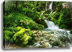 Постер Водопад в зеленом лесу