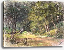 Постер Старкей Марго (совр) Walk in the Woods, Somerset, 1995