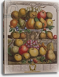 Постер Кастилс Питер December, from 'Twelve Months of Fruits', by Robert Furber engraved by Henry Fletcher, 1732