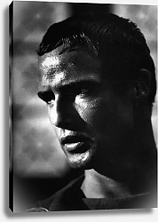 Постер Brando, Marlon (Julius Caesar)